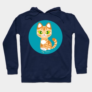 Kawaii Orange Tabby Cat Hoodie